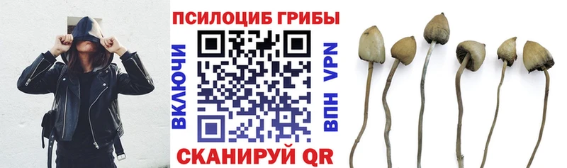 мега зеркало  Сельцо  Псилоцибиновые грибы прущие грибы 