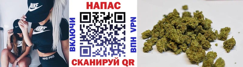 дарк нет состав Сельцо Конопля LSD WEED